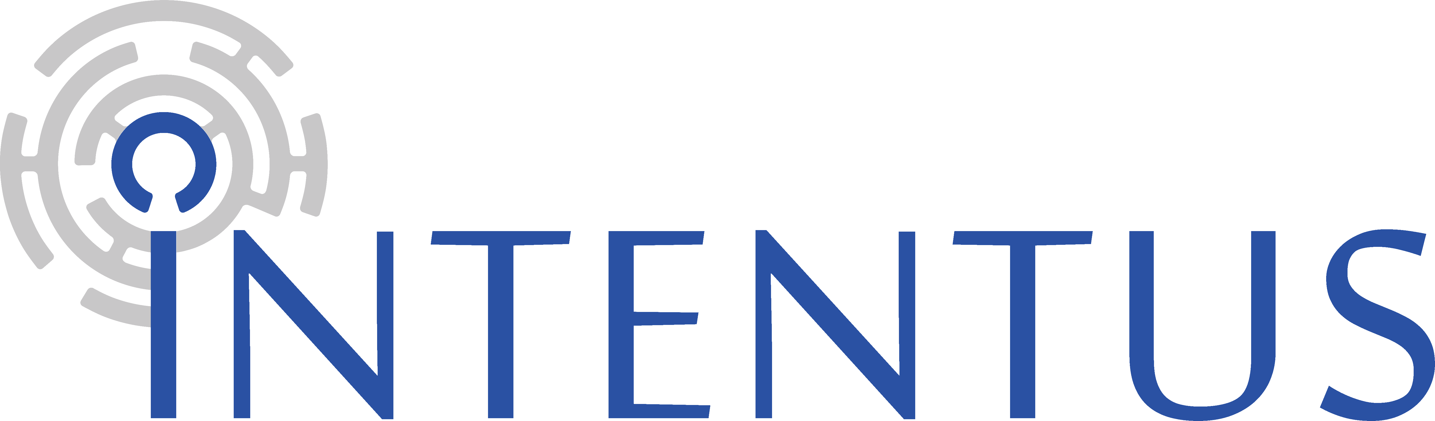 Intentus Logo blank